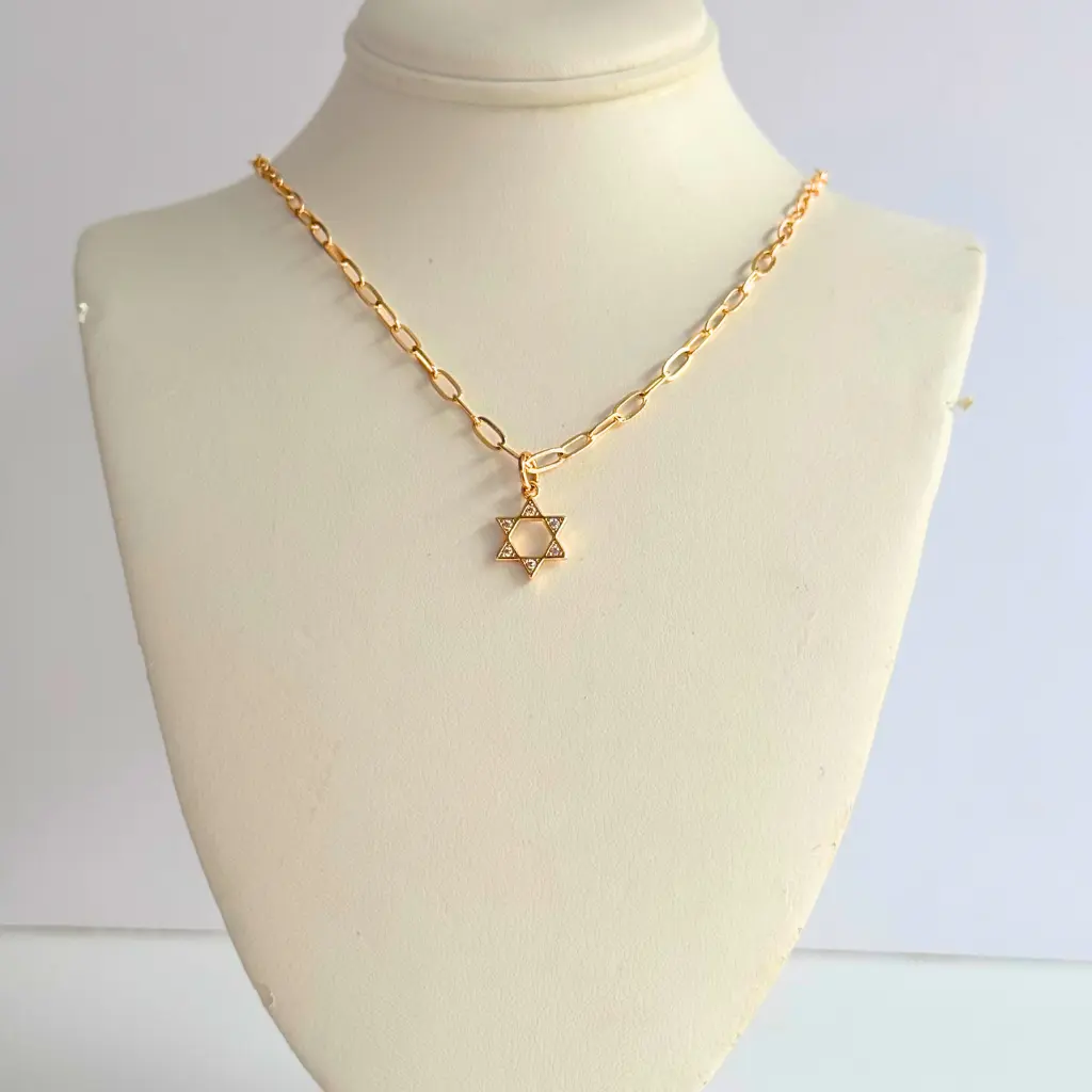 Stacked By Suzie CZ Pave Star of David Necklace 16K Gold Plated Tiny CZ Charm on Modern Paperclip Chain 16" Length