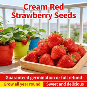 Strawberry Seeds Non-GMO Heirloom Sweet Berry Fruit Seeds for Home Garden, Easy Grow Outdoor Patio Balcony Container Planting, Ornamental & Edible Gardening Seeds