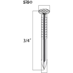 700PCS 304 Stainless Steel 3/4 Inch Flat Head Small Hardware Nails for Hanging Pictures Wall Wood Finishing