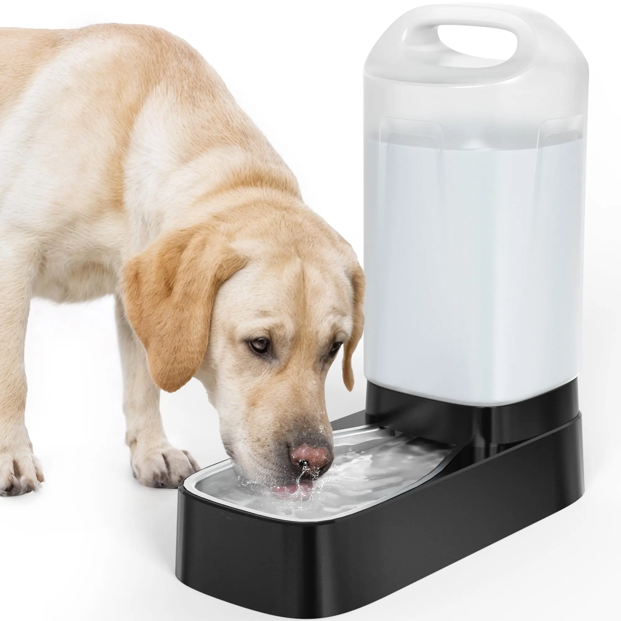 best slow dog feeder bowls Slow Feeder for French Bulldog  Anti-Choke Design