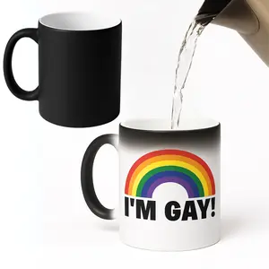 I'm Gay Rainbow Heat Change Mug 11oz Hilarious Coffee Cup Gift for Mom Tea Mug, Funny Gift,Mug for Work Coffee Cup Drinkware Ceramic Mugs