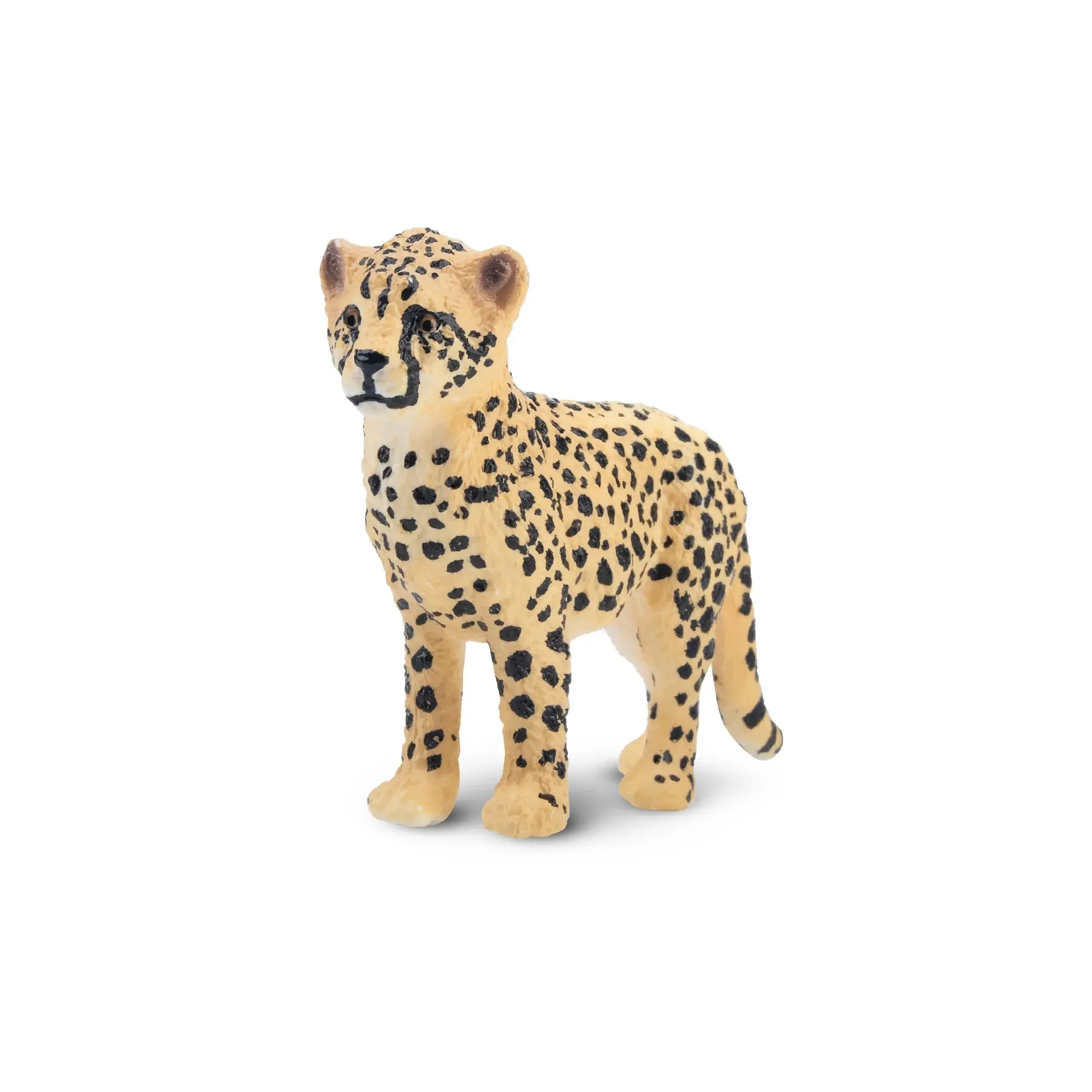Toymany Hand-Painted Standing Cheetah Cub Figurine – Realistic Big Cat Model, Perfect for Early Education, Montessori Sensory Play, Cake & Party Decorations, Desk & Home Décor, Thoughtful Gifts, and Collectible Figurine