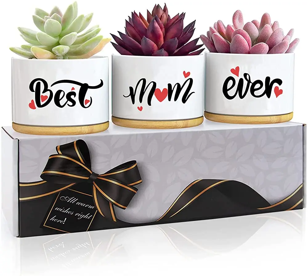 Ceramic Succulent Planters Set of 3 (2 Styles: Heartwarming Mom Design "Best Mom Ever", Inspirational "You Are Awesome") with Bamboo Tray, Compact Cute Planters for Friends, Indoor Plant Decor, Home Office Tabletop Flower Pots (Plants Not Included)