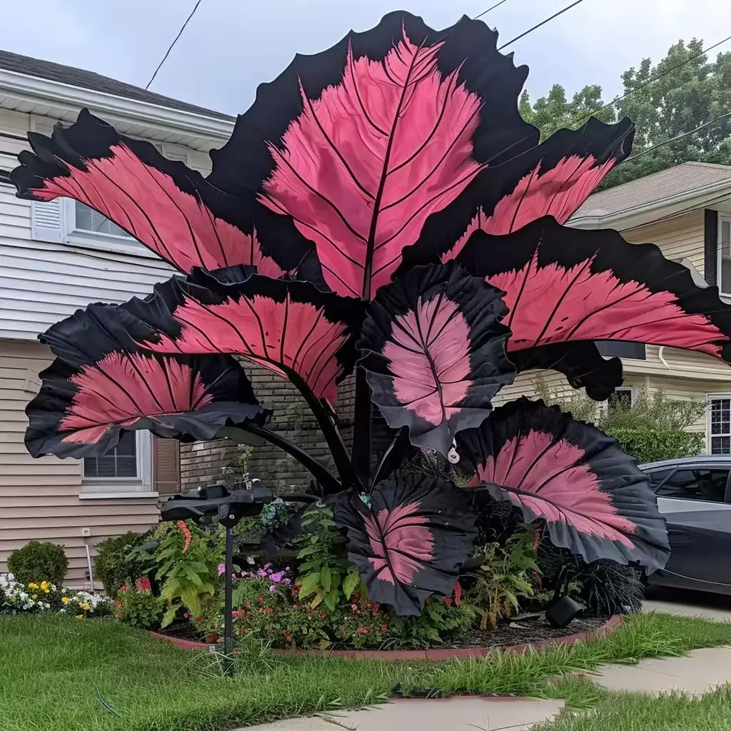 Bicolor Caladium & Large - Leafed Arrowroot Seeds (100Pcs) | Caladium Seeds for Year - Round Potted Plants, Ideal for Indoor/Outdoor Gardening Perenni