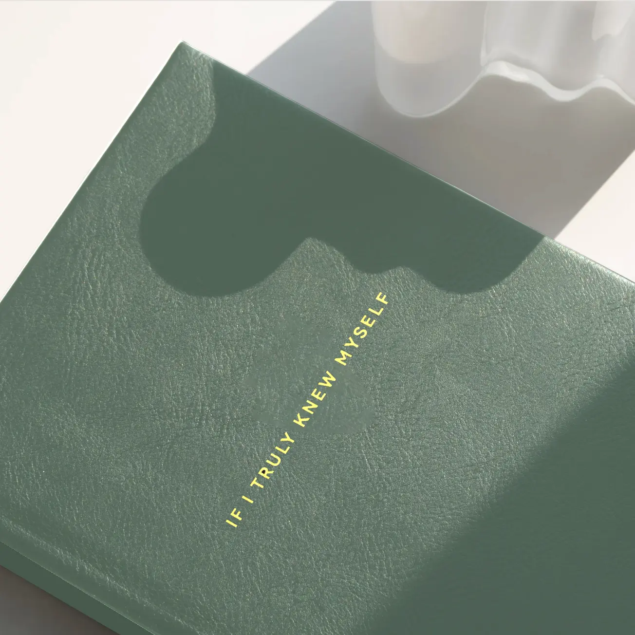 If I Truly Knew Myself Journal A Daily Undated Journal for