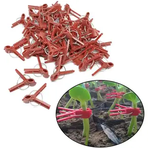Suxgumoe Plants Graft Clips, 100PCS Plastic Round Mouth Grafting Clips Gardening Tool for Cucumber Eggplant Tomato Watermelon