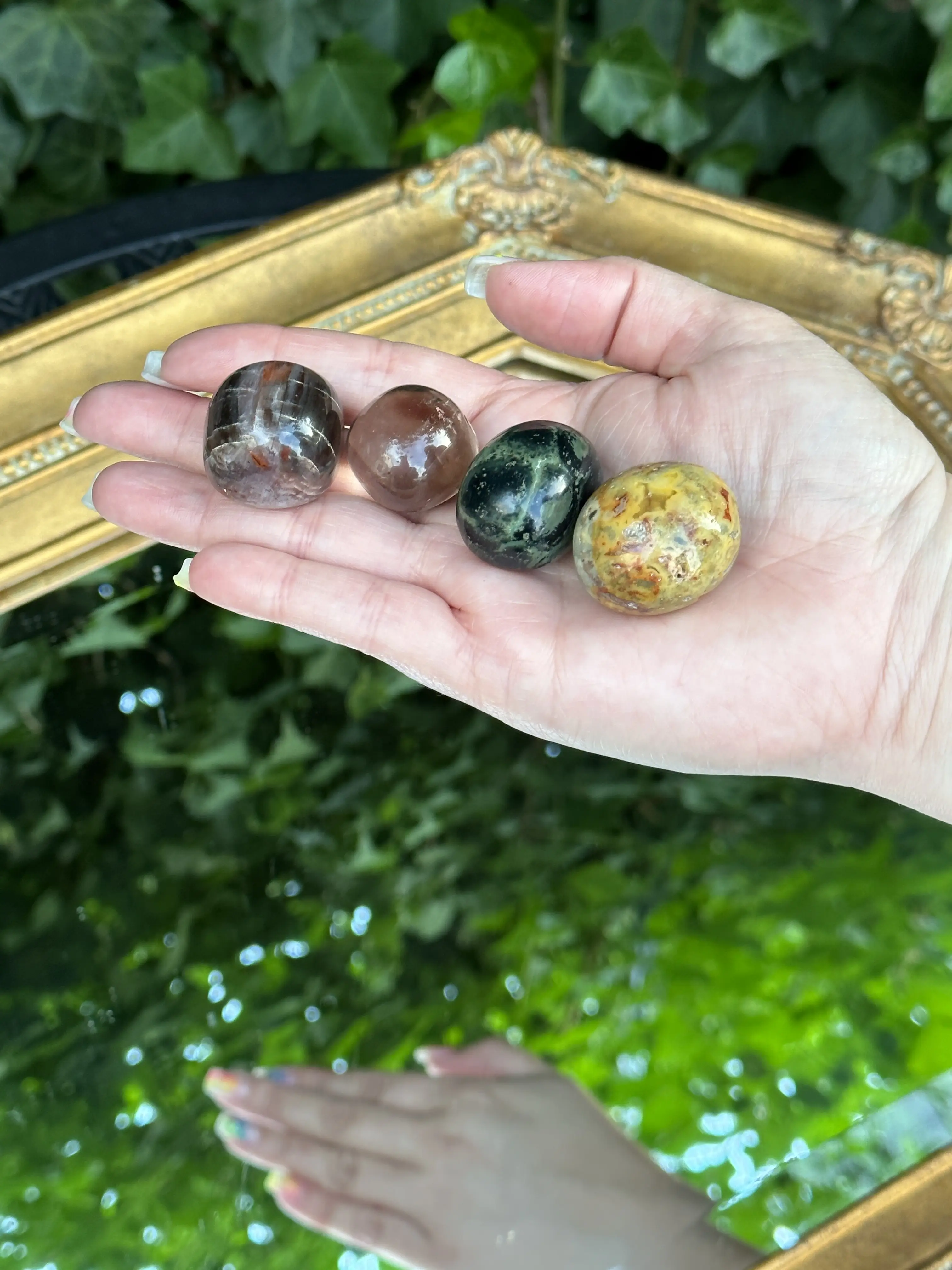 Amityville Apothecary ADHD Support Crystal Collection - Transformative Kit with Petrified Wood Tumble, Crazy Lace Agate, Kambaba Jasper & Smoky Quartz