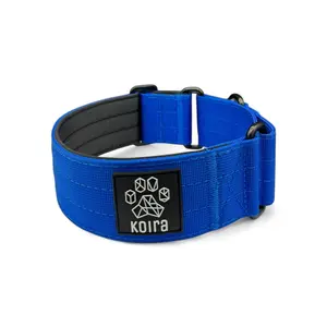 Blue Koira Sighthound Collar – No-Buckle Martingale