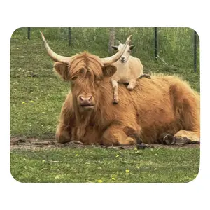 Barry Rides Belle - Mouse Pad