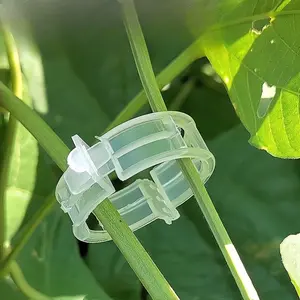fixed clamp for horticultural plants, can be used to make tomato grafting clips, bundled rattan clamps, bundled branch clamps, plastic flower melon vine clamps