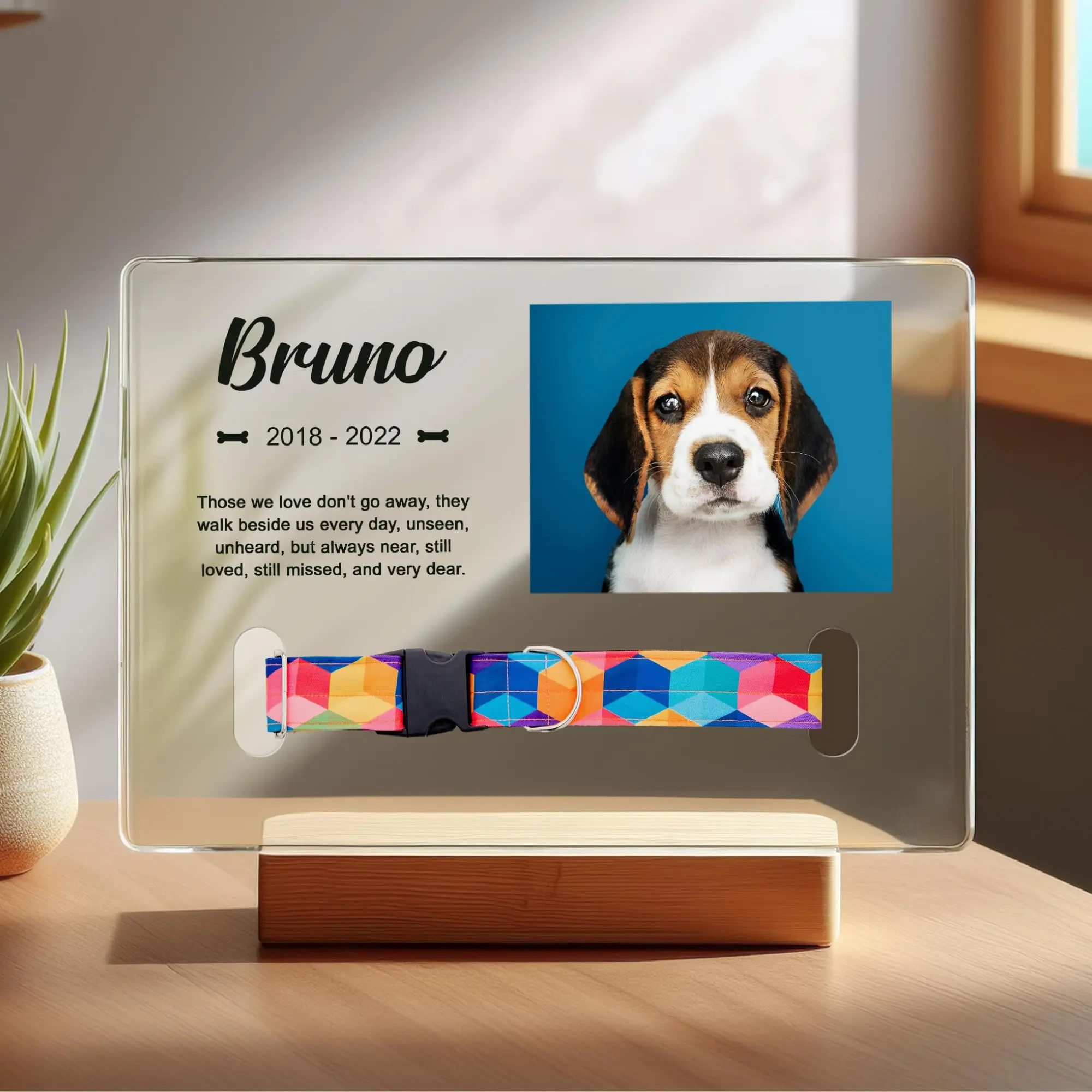 Personalized Pet Memorial Plaque Portrait, Custom Dog Remembrance Gifts for Loss, Cat Sympathy Night Lights, in Memory of Dog Passing Away Sign, Cat Rainbow Bridge Photo Frame (With Collar Hole)
