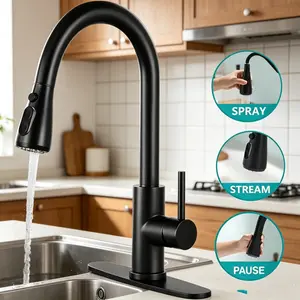SummerVibes Kitchen Faucet with Pull Down Sprayer, High Arc Single Handle, Brushed Nickel, Brushed Go Home ld Finish  Modern