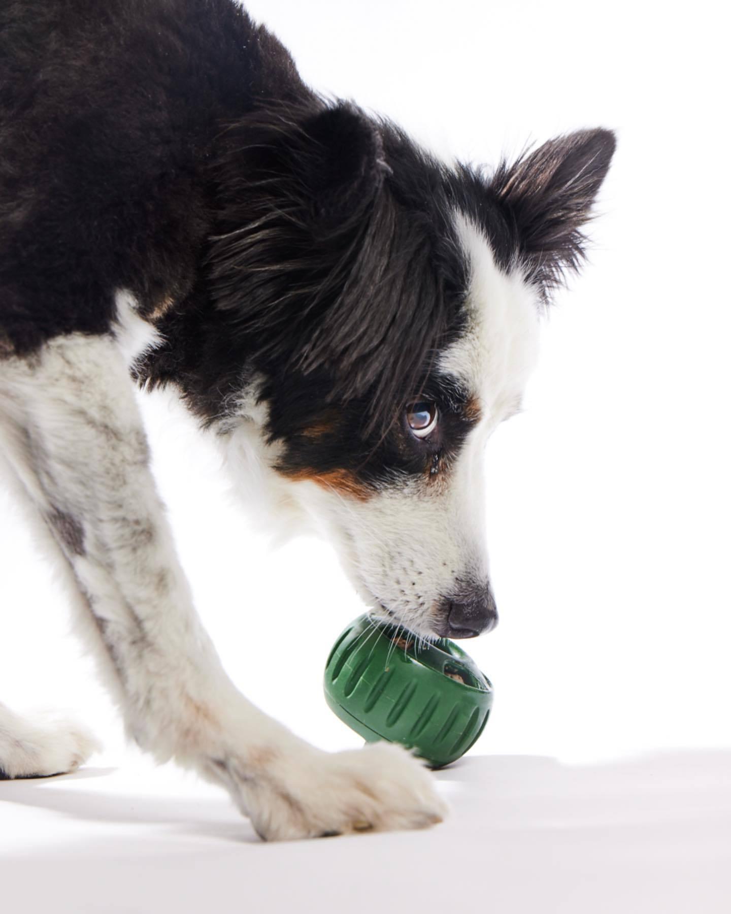 Dog Silicone Slow Tableware Molar Food Leakage Toy Pet Pets Supplies