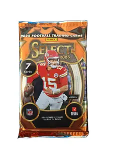2025 Select Hobby Mega Pack