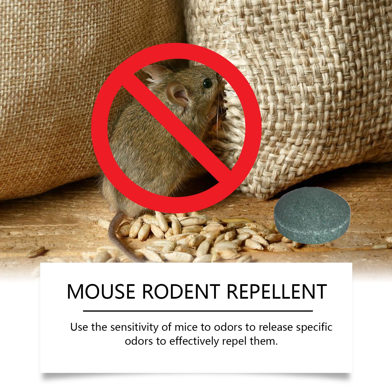 10 Packs Popular Natural Rodent Repellent Balls! Infused with peppermint and lemon oil, these balls effectively deter squirrels, rats, spiders, and other pests. Safe, long - lasting, and easy - to - use for both indoor and outdoor applications.
