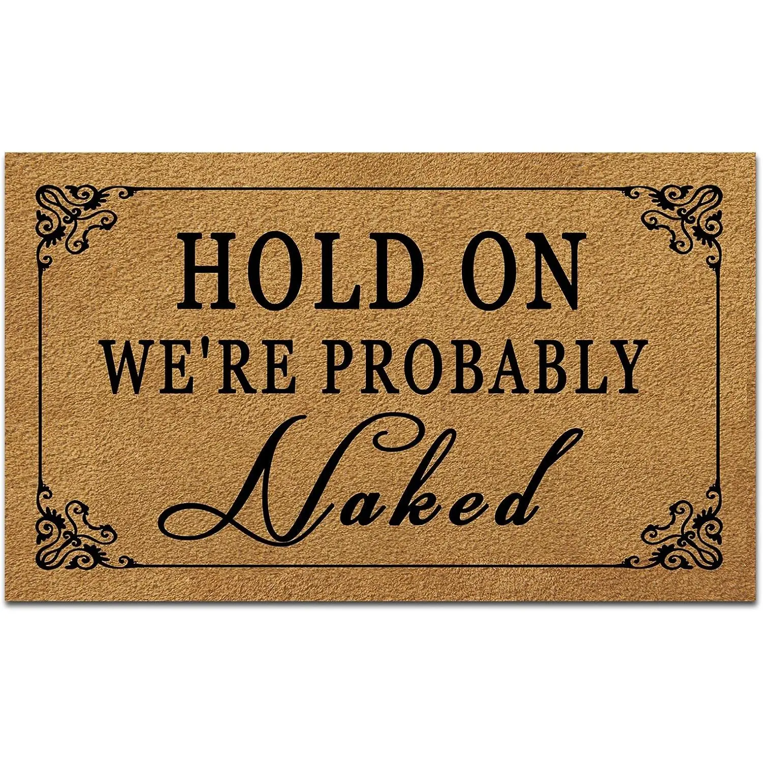 Funny Welcome Door Mats for Home Decor (17.7 x 29.5 inch) Gift Mats with Anti-Slip Rubber Back Kitchen Rugs Personalized Doormat for Entrance Way (Hold On We're Probably Naked)
