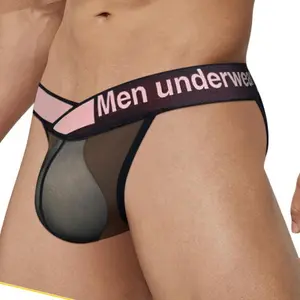 Men's Briefs Transparent Mesh Summer Ultra-thin Underpants High Cut Male Briefs Bikini Underwear Seamless Lingerie See Through Low Rise