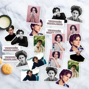 Stickers Pack 20 Pcs Timothée Waterproof Guitar Chalamet Vinyl Movies Skateboard Water Bottle Laptop Colorful Luggage Bumper Car Bike Aesthetic
