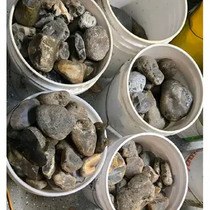 Bulk Raw Montana Agate Low Grade