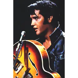 Elvis Leather Poster