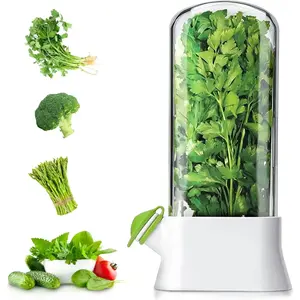 Herb Keeper for Refrigerator - Premium Herb Saver, Keep Cilantro Fresh, Versatile Keeper for Prolonging Freshness of All Herbs