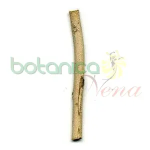 Palo Quita Maldicion 3.5" - 5" Aprox.