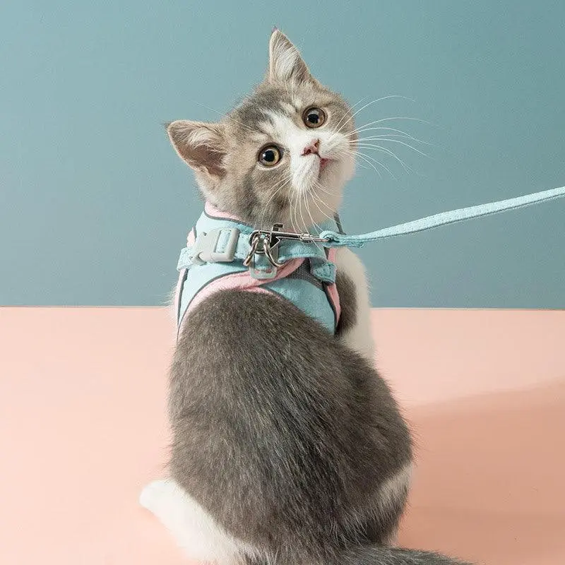 Petsafe Freedom Harness Secure And Stylish Cat Traction Rope Chest Strap