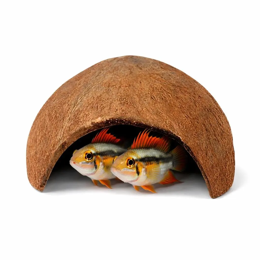 Coconut Fish Cave 5-Inch | Reptile Hide