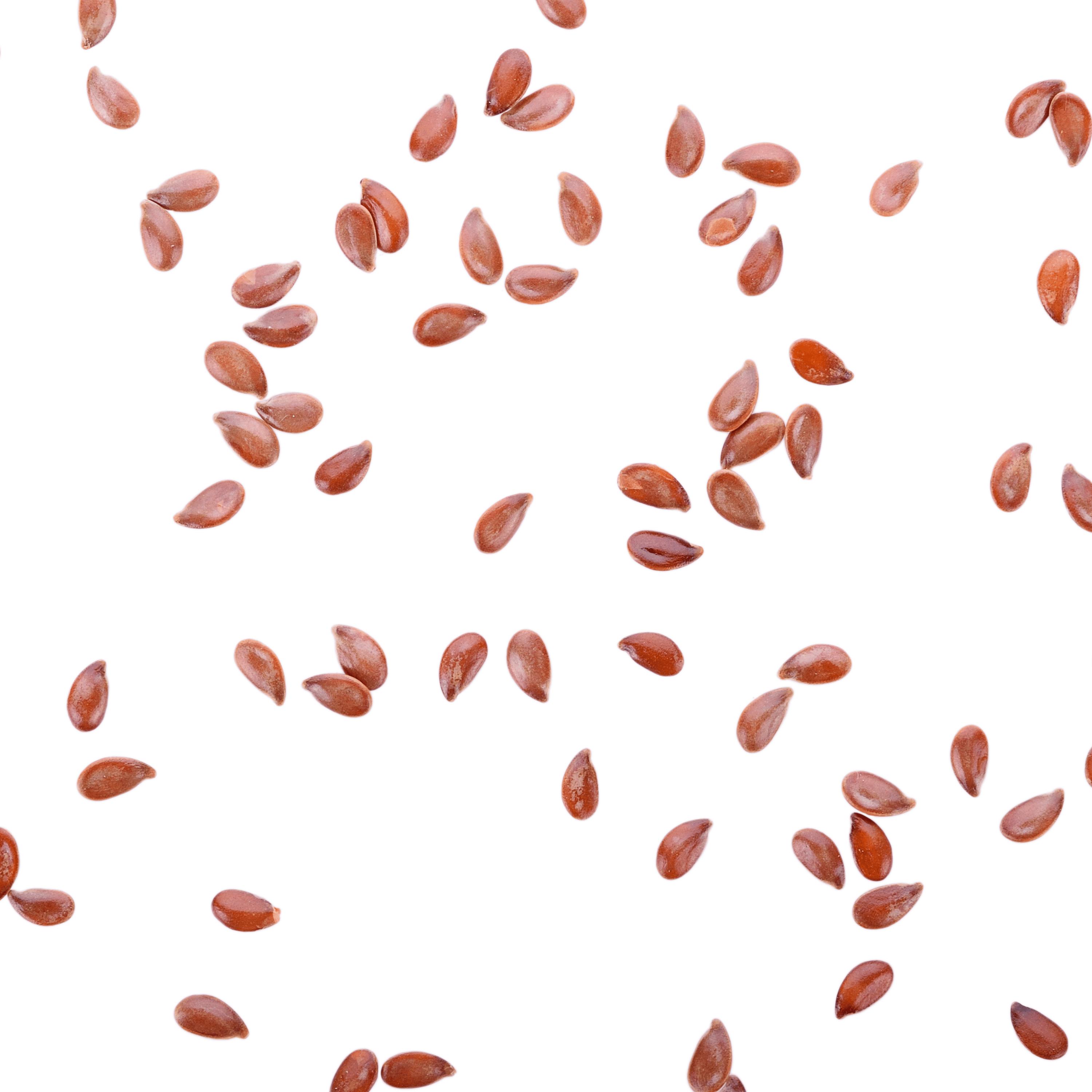 Yard Long Bean Seeds for Planting - 50 Seeds - Asparagus Bean | Snake Bean | Chinese Long Bean | Red Ripper Cowpeas