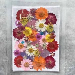 Orange & Pink Multi Dried Flowers