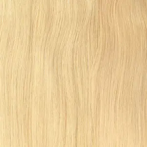 #16 Blonde Sample Clip In Hair Extension