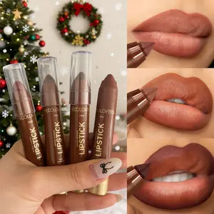1PC 2-in-1 Matte Lip Liner and Lipstick - 3D Lip Shape, Smooth Application Suitable for All Skin Types, Non-stick Cup, Autumn and Winter Color Lipstick, Christmas Gift, Makeup