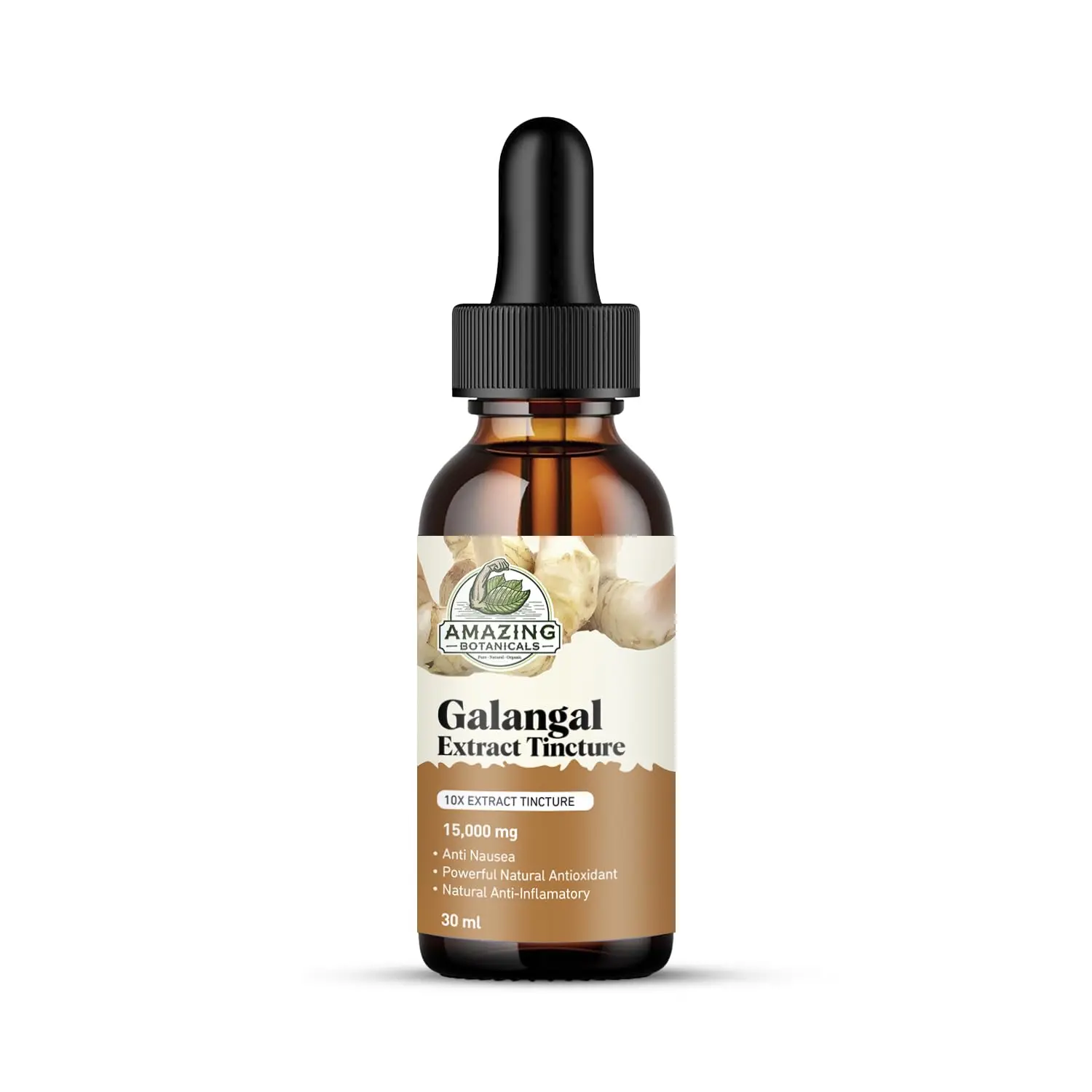 Amazing Botanicals Galangal 10X Pure Extract Tincture - 15000mg, 30ml/1oz High-Potency Natural Edible Herbal Dietary Supplement, Vegan, Non-GMO for Healthcare Support