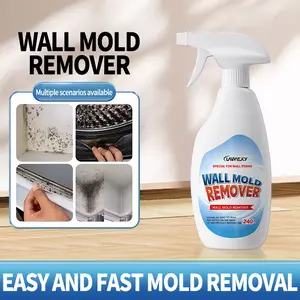 Lanwexy Highly Effective Mould Removal Spray - Prevents Mould Regrowth Lanwexy Highly Effective Mould Removal Spray - Prevents Mould Regrowth