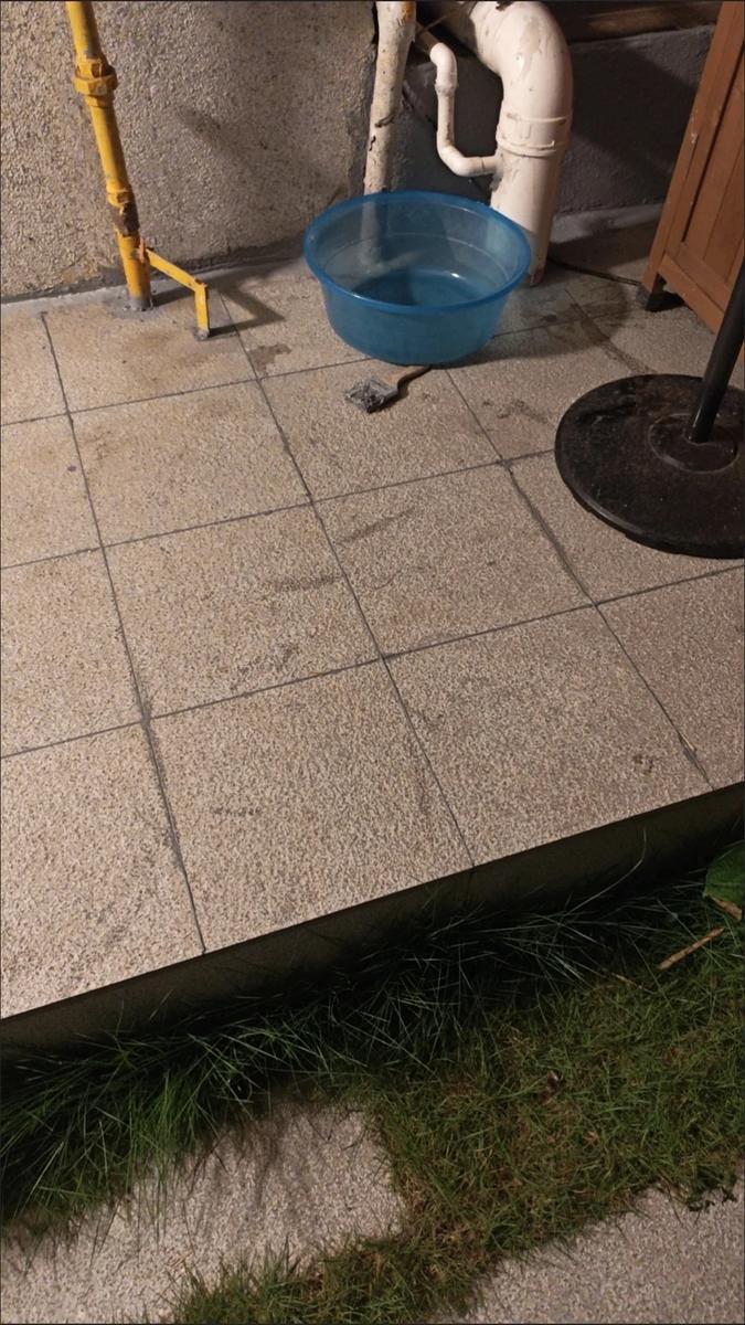 Item: 1 bag+Scraper(try and see the effect）