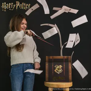 Harry Potter Acceptance Letter Box - Officially Licensed By Send A Cake - Create memories & celebrate birthdays, anniversaries, graduations & more with this one of a kind gifting experience! - Includes a flurry of letters & chocolate house crest brownies!