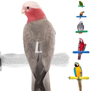 Comfort Grip Safety Perch for Bird Cages - Pedicure Perch for Healthy Nails & Beaks - Easy-to-Install Bird Cage Accessory - Large, 13"