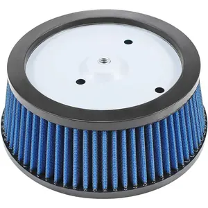Air Filter For Harley Davidson Road King, Electra Glide, Screamin Eagle, Road Glide, Dyna, Softail, Springer, Ultra Classic, FatBoy, Wide Street, Super Glide (29442-99e, 2944299C, 2944299A, 2944299B)