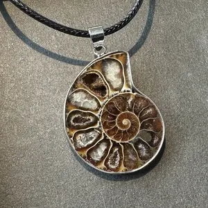 Genuine Natural Unique Ammonite Fossil Gemstone Necklace Pendant Adjustable Cord