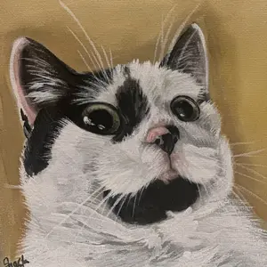 6x6 Painted Pet Portrait