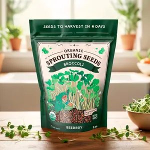 Broccoli Sprouting Seeds, Organic & Non-GMO - 8 oz Bag Broccoli Sprouting Seeds, Organic & Non-GMO - 8 oz Bag