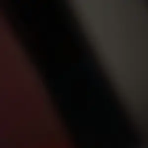 review image 4
