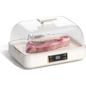 Quick Defrosting Tray for Frozen Meat with Lid - Household Defrosting Tray for Quick Meat Defrosting, Airflow Thawing, No Water Needed, Works with Meat and Vegetables Kitchen Tool Kitchenware