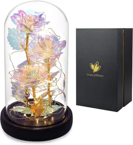 Mothers Day Forever Gifts for Mom, Colorful Flowers Rose in Glass Dome,Galaxy Flowers Rose with 2 Lighted Mode,Rainbow Rose Birthday Gifts for Women,Wife Girlfriend Daughter，Anniversary,Valentines Dream of Flowers