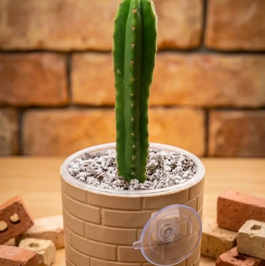 4-Inch Bricked-Up Window Planter, PETG Suction Cup Mounted Planter