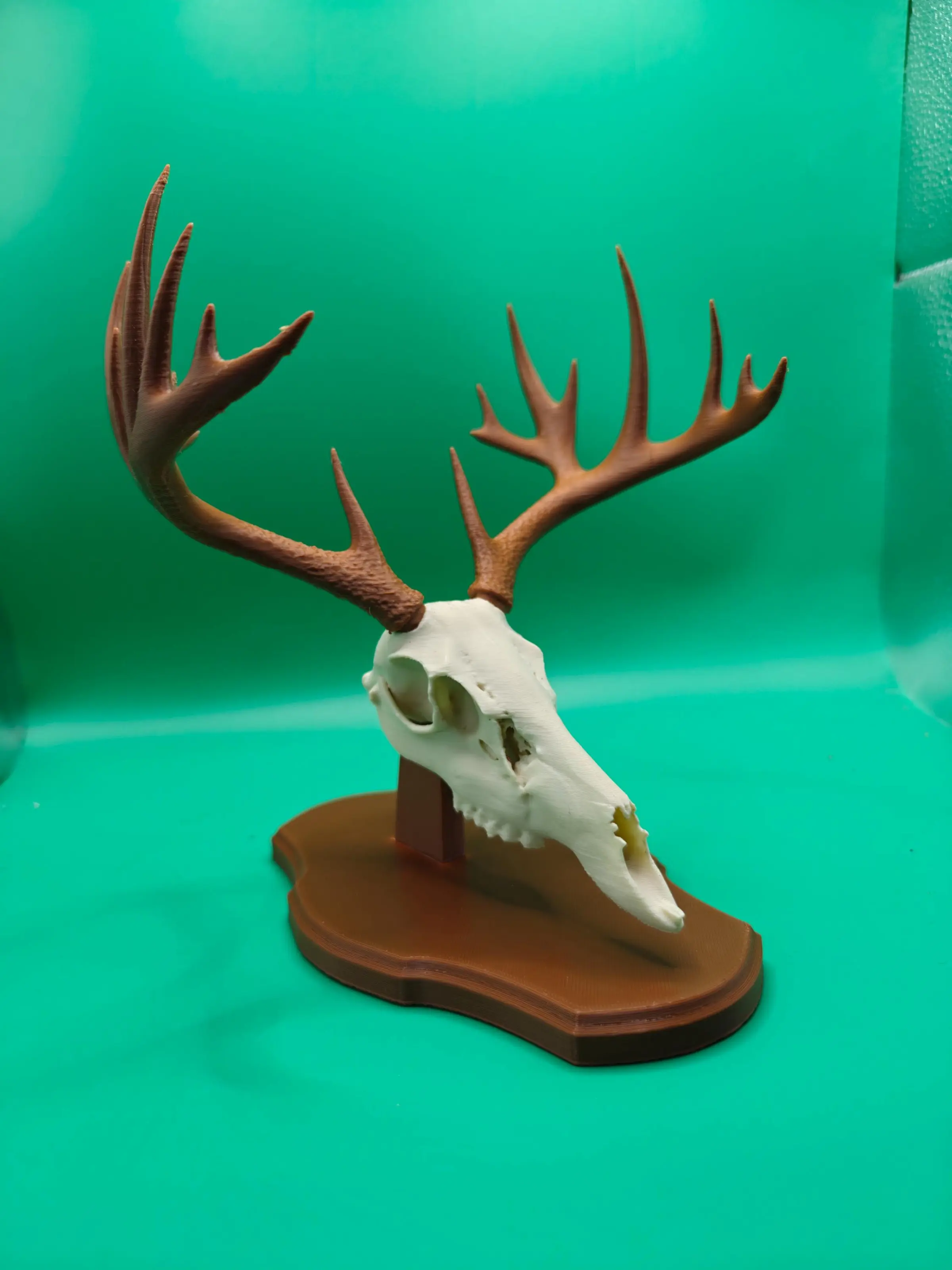 3D Printed Faux Deer Skull Mount | Rustic Hunting Decor