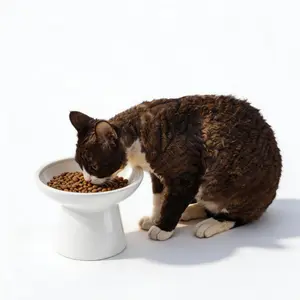 CEEFU Elevated Ceramic Cat & Small Dog Food Bowl – 6.2" Wide Shallow Dish, 5"Height,Extra Wide Feeding Bowl Whisker Relief Pet Feeding, Lead & Cadmium Free, White Green