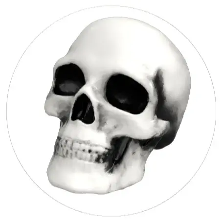 White Skull