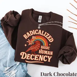 Radicalized By Basic Decency Sweater, Feminist Activist Sweatshirt, Liberal Political Protest Sweatshirt, Social Justice Equality Top, Human Rights Gift