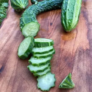 Organic Suyo Long Cucumber Seeds (Cucumis sativus) – 15+ seeds, Crisp Heirloom for Refreshing Harvests